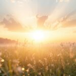 300-sunday-blessings-happy-peaceful-day